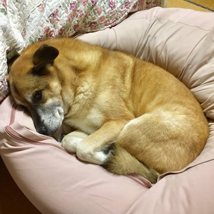 2c908fb8 ad58 43ce 822c 15690027c348 1575716682295