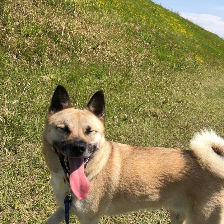 2c90a154 b0ca 4436 81fc c1b0360dd1fc 1524392145585