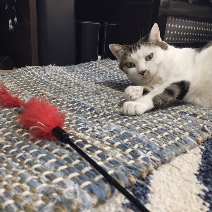 2c90c7aa bd1a 41f8 bc60 ed4e52379fc5 1558239014310