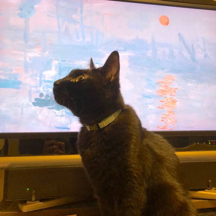 2c90d38c 7bef 498c bfe6 092c0ba89843 1560687670051