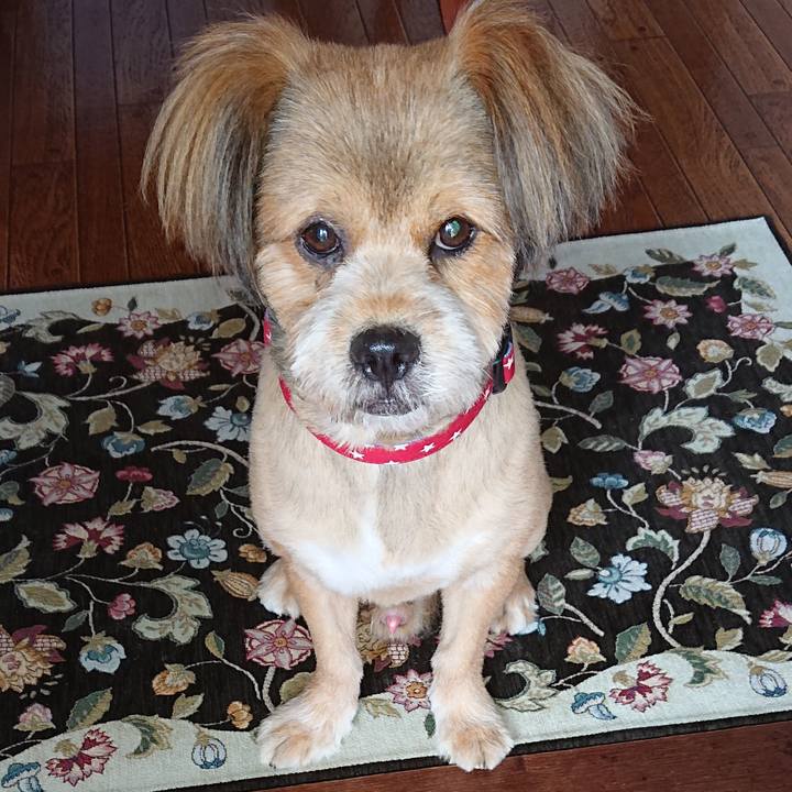 2c90d46b 2075 403a 8fde 6683eef8bdfb 1569480498377