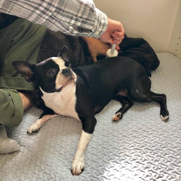 2c90db6d 5a5e 413a a95e 2d92f0bf3a5f 1529206184184