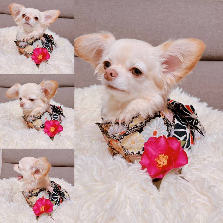 2c90e5ec 2208 4461 a421 909b5f0ef93e 1673673444912