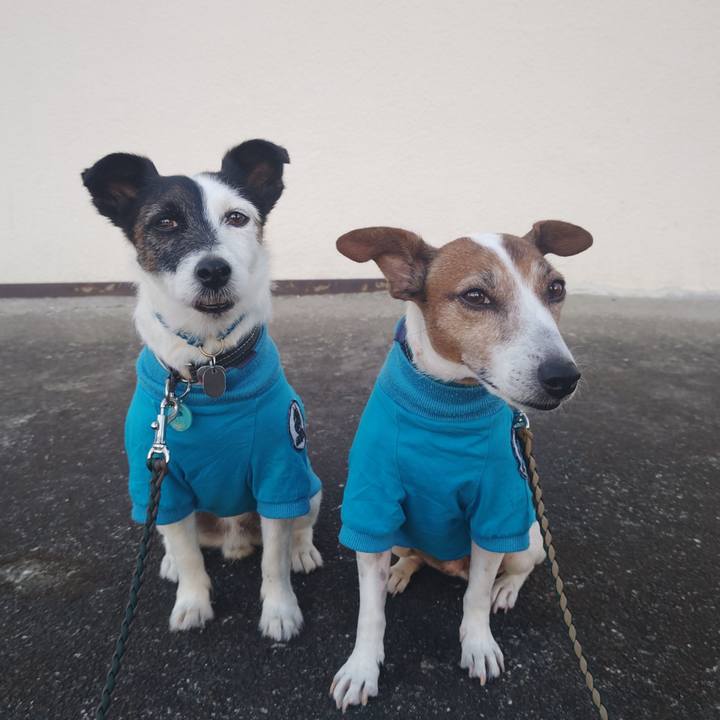 2c910be1 f0f2 4f33 a778 c8a9831a6781 1756244953656