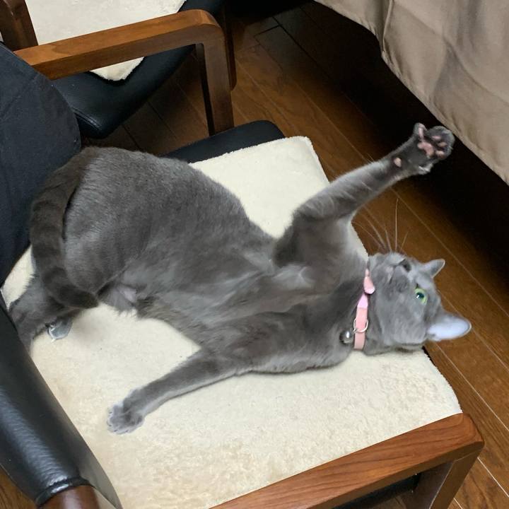 2c91162d 1e89 4454 8c99 6a674b7f023c 1587736656843