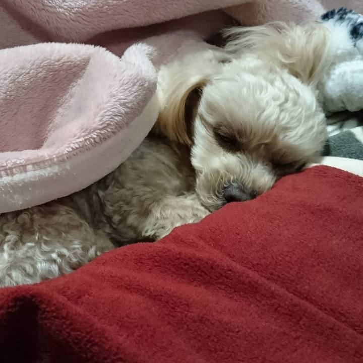 2c915c0a 0f59 4fd7 9935 4a180448eb5d 1580644022442