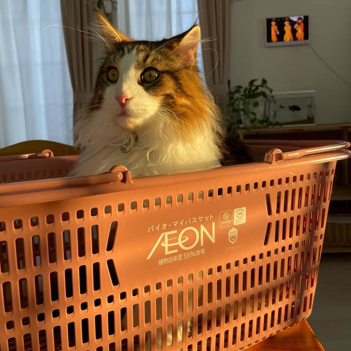 2c916f71 33eb 4f28 986c 8d46158c076f 1642835753561