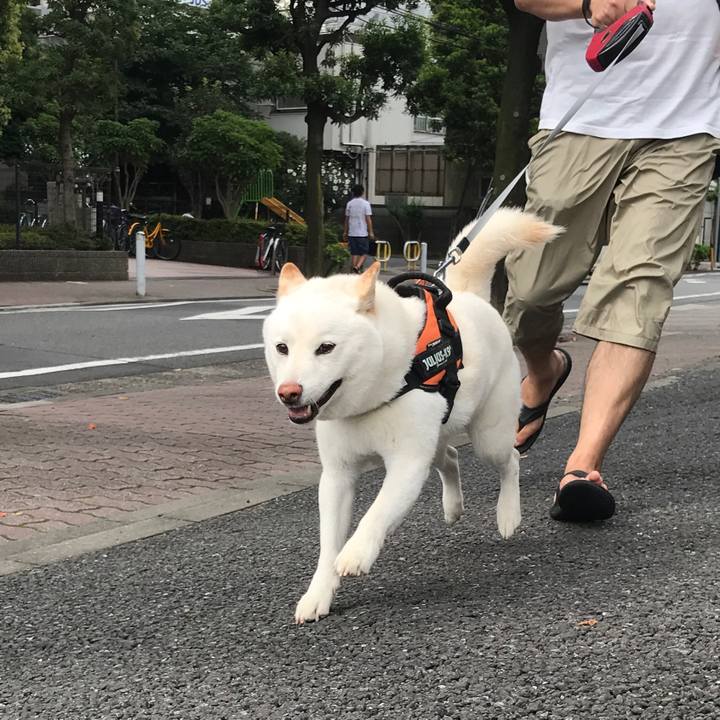 2c91a015 7f3f 4e15 991e 4e47a17100f1 1563925703284