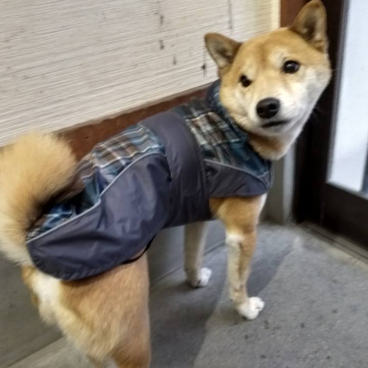 2c91d9c2 62f7 4342 b8ff 2fd32b12e36a 1517480697610