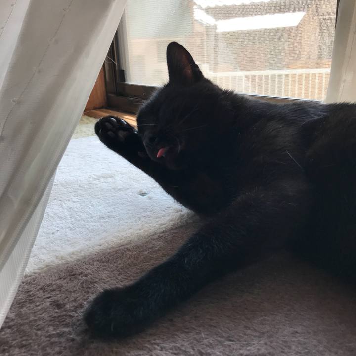 2c923f07 d467 4f20 aaab 0ae4bcf53eb9 1532049714753