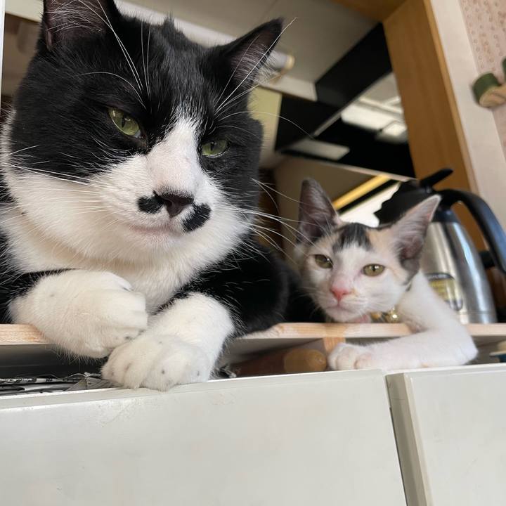 2c925307 336c 4cce 9d5f 75a823bf99f6 1659405613990