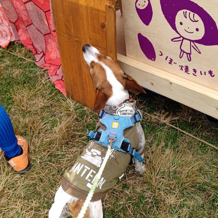 2c925e1b 62c1 4fc6 9f0e 8eb688de1377 1637475979690