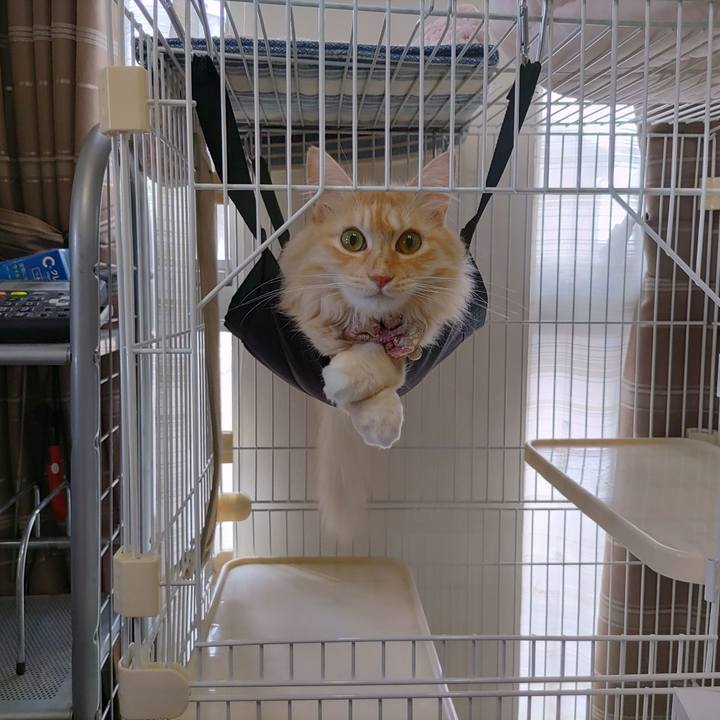 2c929c26 352b 4b56 b93c c849d41245f3 1693643990225