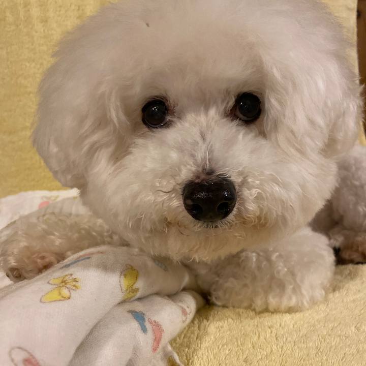 2c92aa52 7bae 40b6 95f1 51a98e131a19 1649756268739