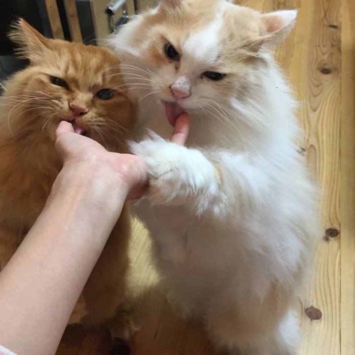 2c92cd6b 5e52 4236 826b 280551ec7233 1608673891114