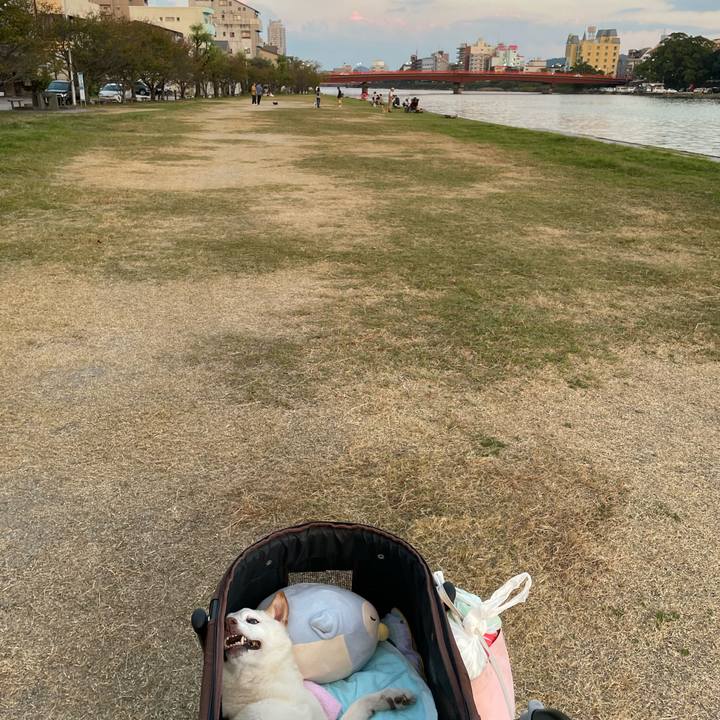 2c92ee68 e175 400b 99fb 8b2e17bfeffe 1666521745606