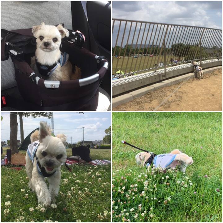 2c92f5e3 c85e 4f9e 8fd1 5bc3d9d0dea7 1558264433148