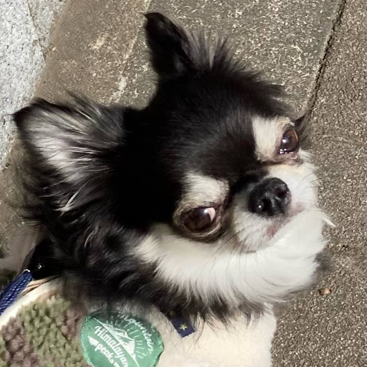 2c92f8d1 61a8 406c a340 de3aa2bf505e 1676177642717