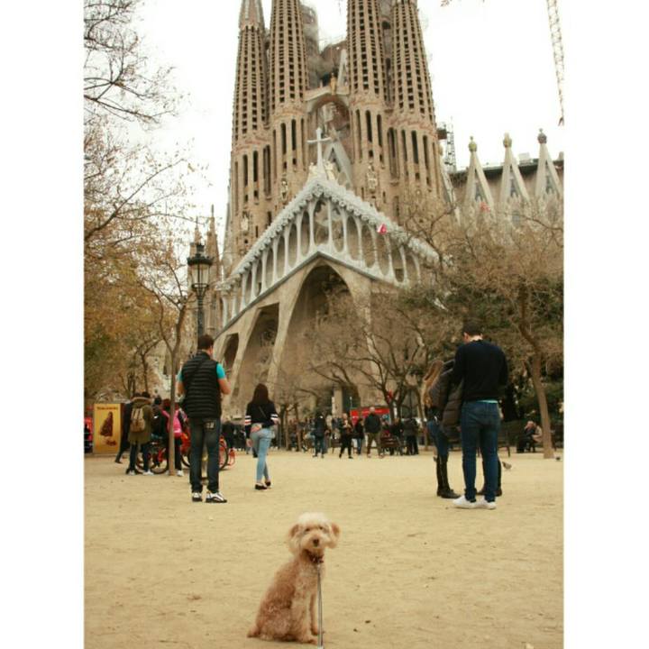 2c9314f8 8c0c 4c83 a2b0 9a292403abe2 1551896849460