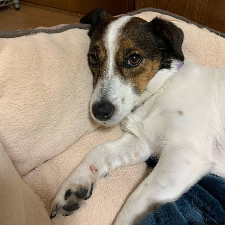 2c9326c7 61cc 4f38 987d 26e2b7fdf986 1587553961969