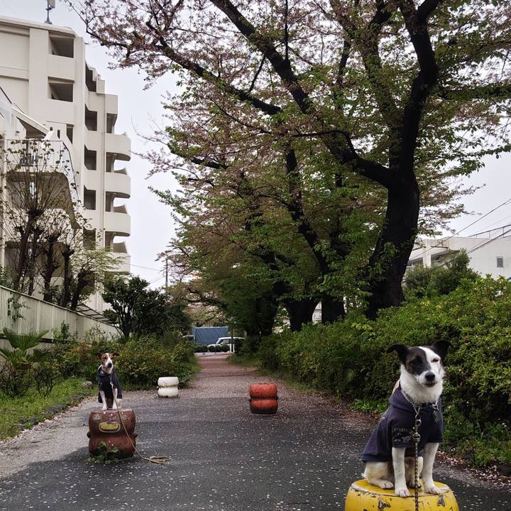 2c932be8 5956 40ab 92c7 37636e003b15 1744580272254