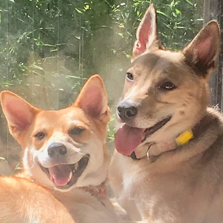 2c935585 7293 4dc0 b9d2 4167a9ee555d 1538358719234