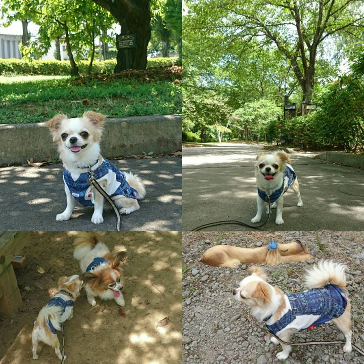 2c935c01 0b50 443e b4d7 acb606c036a9 1535849640400