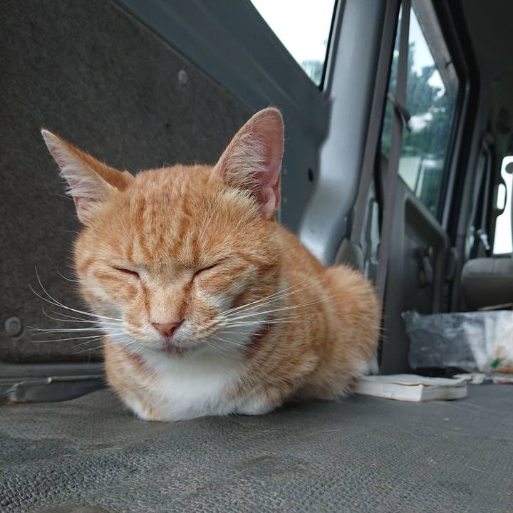 2c939c95 6f06 41f5 a179 9bbd70f82be8 1594455303625