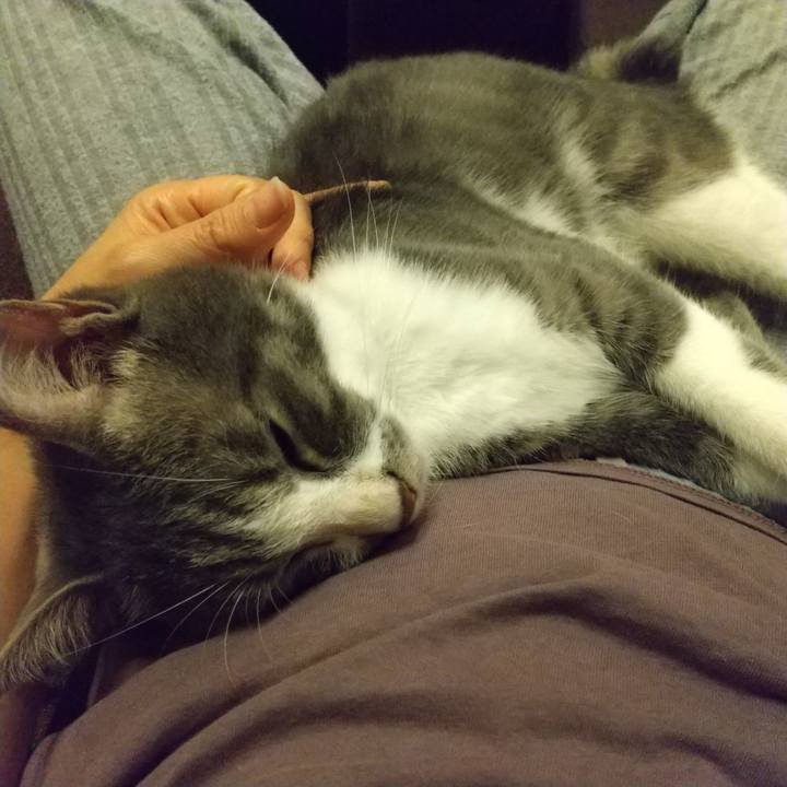 2c93b859 9005 458b a39e 9ba678091200 1597410585569