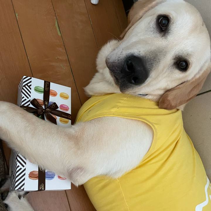 2c93f06a 0605 43c0 a925 9d9570a5b4b0 1626612908313