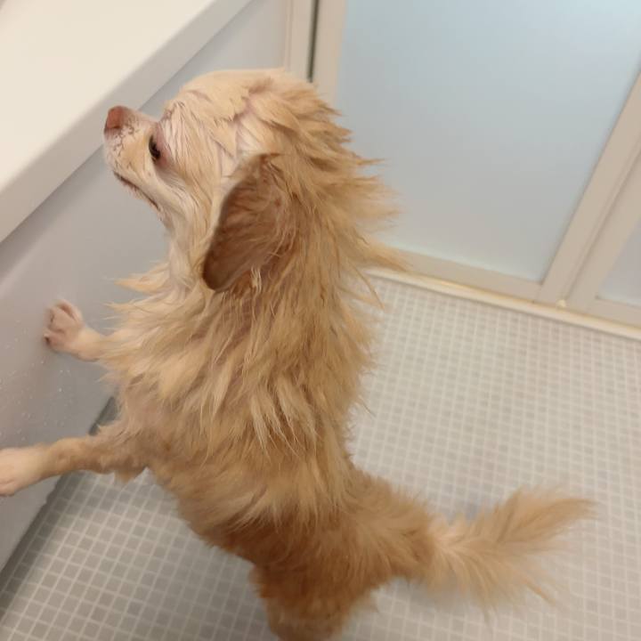 2c941774 3441 45e5 964f 98316a39ab47 1731382163310