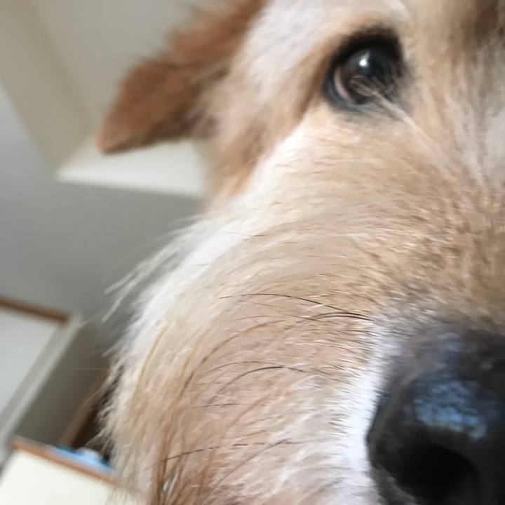 2c94384e 0f26 4bfd 9f80 4b71e22e6371 1597811823262