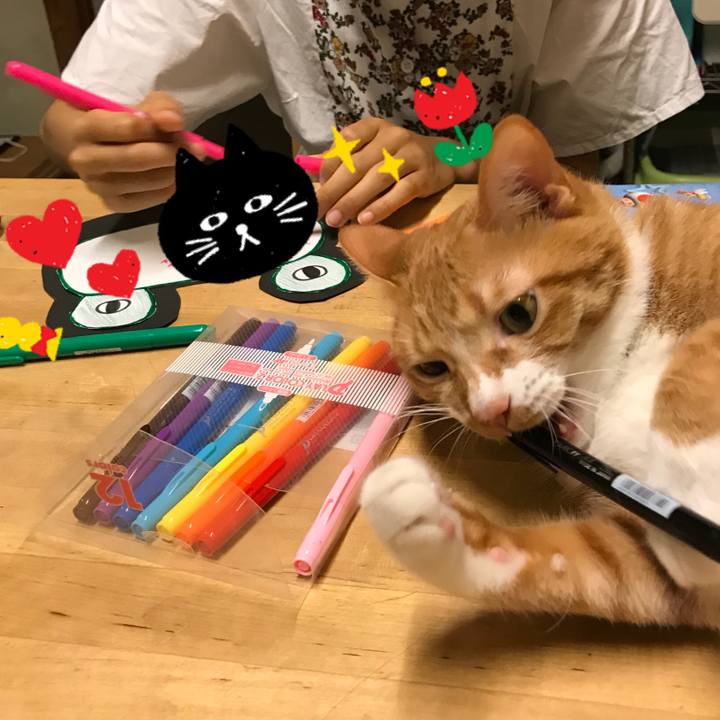 2c9464d3 2a0e 4a2b 9aa9 ae618e824c86 1530937077984