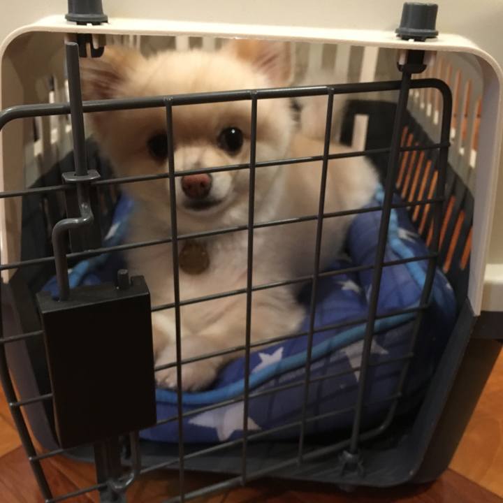 2c946607 bcbe 44d2 8aa2 45d025193f53 1563107488870