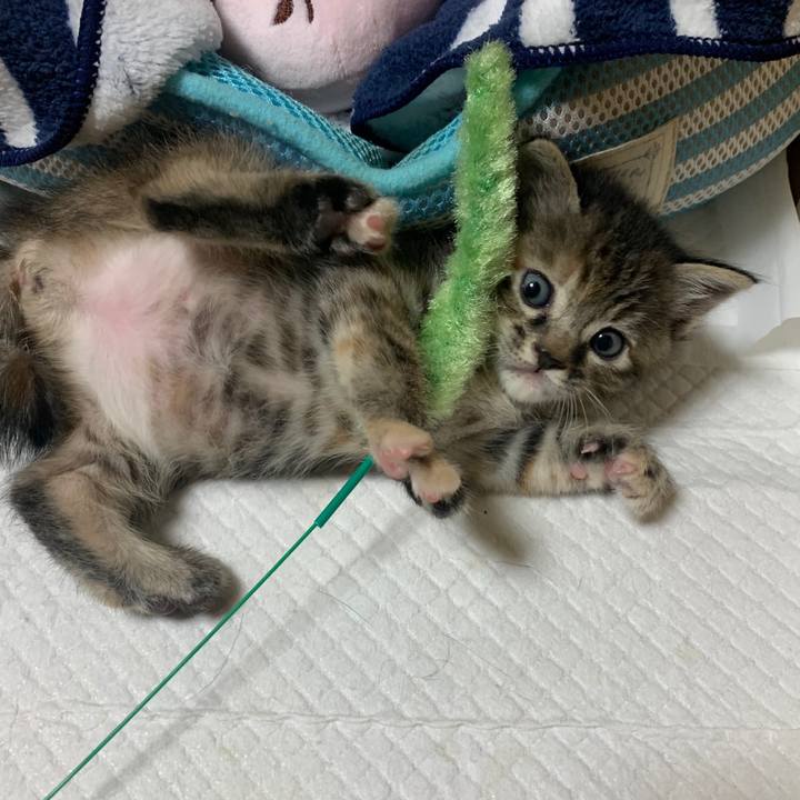 2c94b436 2c22 49e9 83b0 808e04dafa18 1588343480790