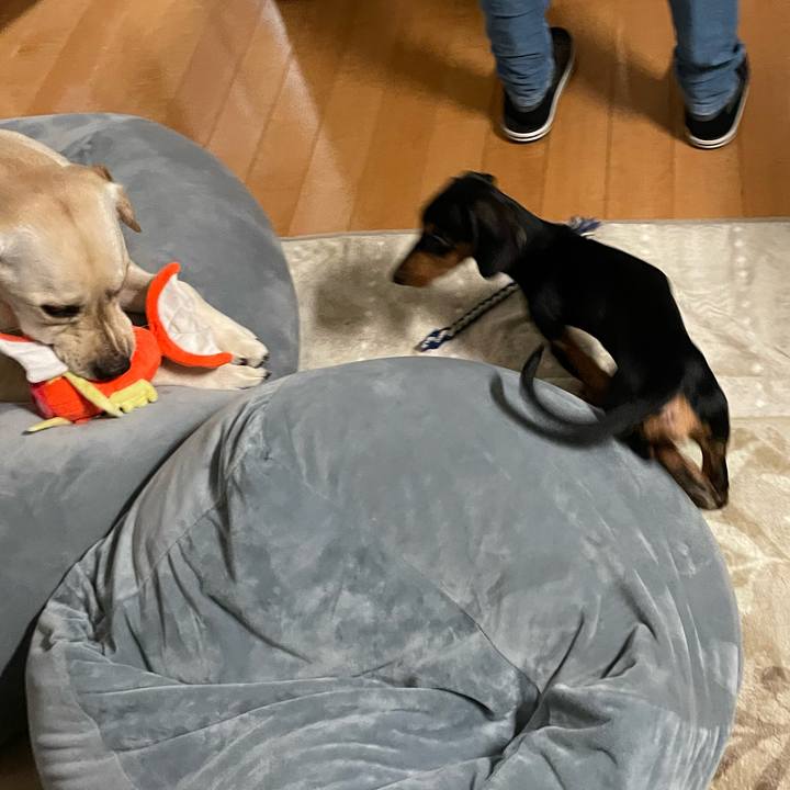 2c950001 f0e4 4668 94ab 5c359702cfbf 1641422377290