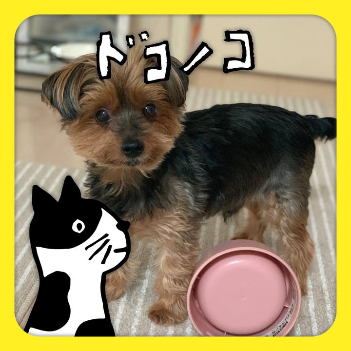 2c95156f 5942 4a0b b3e3 9e5da002cac7 1622872957557