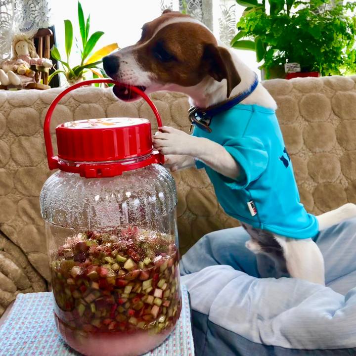 2c9536ab 4bbc 4187 9a2c 37a6a03b5397 1529795004764