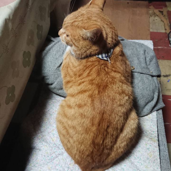 2c95c8c3 ff08 49c2 8435 15a192140d7a 1575059026408