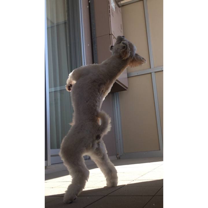 2c95d3ca 736d 47af 9f62 85bb6a8233f5 1534207363124