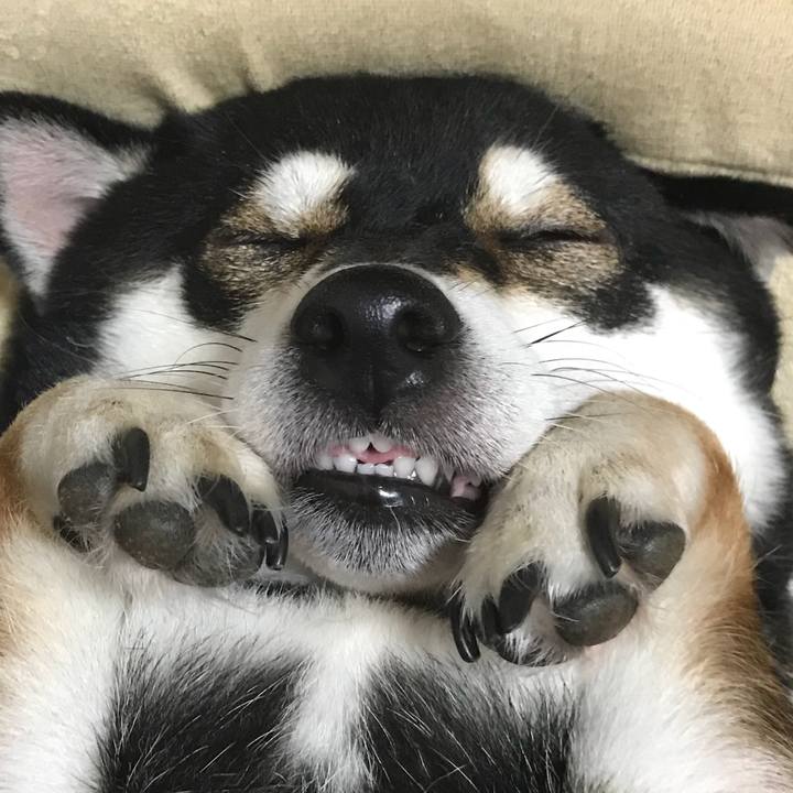 2c95d50f b8ea 456e bf0b 0bdfb2ae81e9 1513002778878