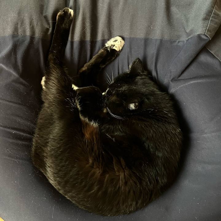 2c960d28 6da2 4b21 b4c4 d047e3cbd071 1752551471860