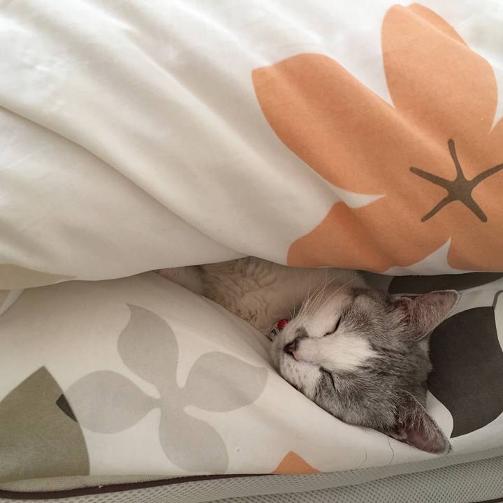 2c9638d5 9659 4889 85d2 66c579ae51df 1509072457478