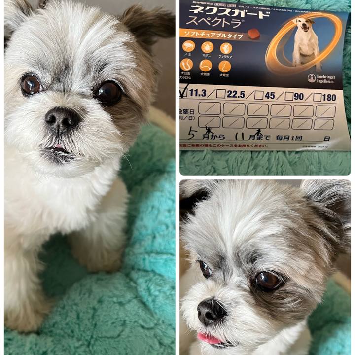 2c965404 a896 474c a69c dd47f29563f6 1685415977666