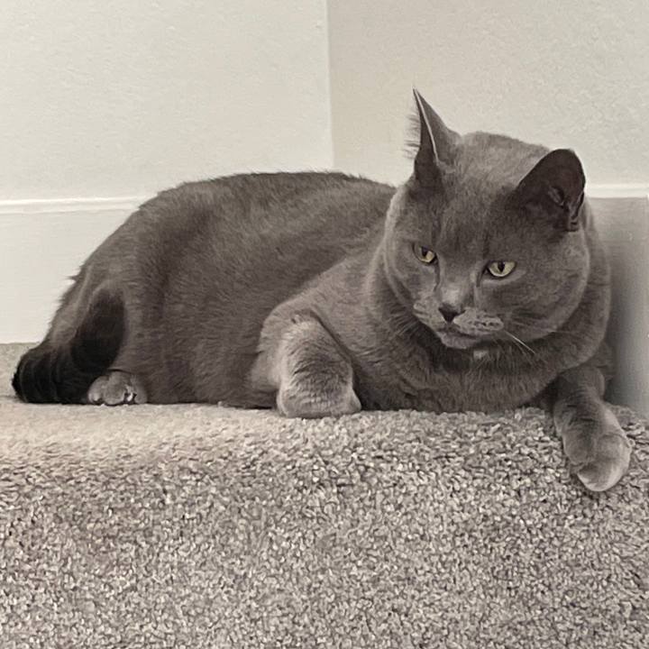 2c96544c 872f 4d67 b4f1 1517b1495ccf 1769272460469