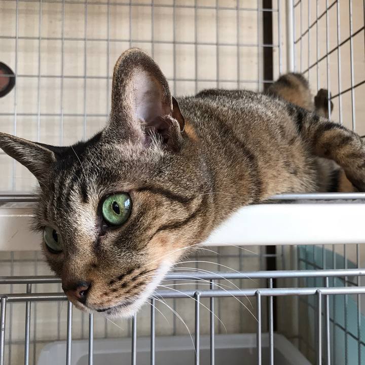 2c96599a d068 42c4 b23f 1e0aab2446b8 1524271476465