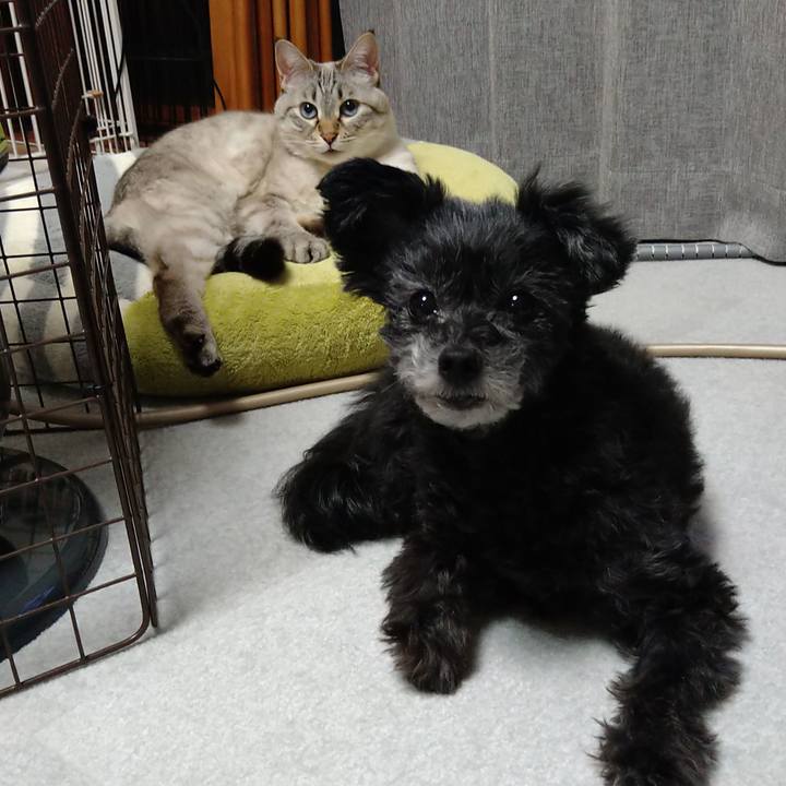 2c965f48 1ba8 4db5 97be 950698529d56 1672757284763