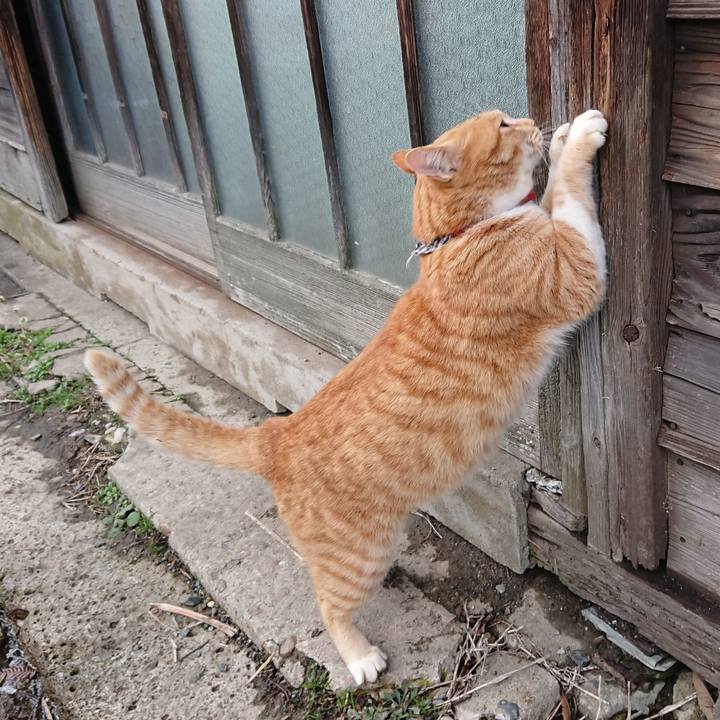 2c96bf68 32d6 4fdf 8ddb 7c921960e631 1575784990222