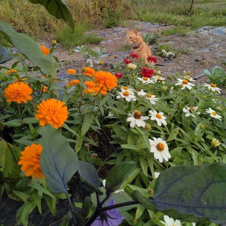 2c96ed71 94db 4d1f 982a e77fe1b97586 1664866588549