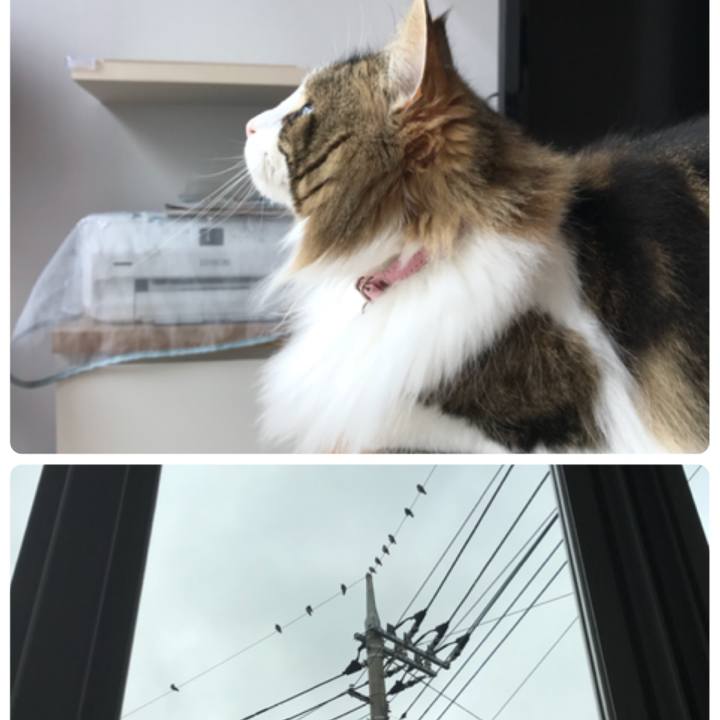 2c972b50 f022 4db1 85a2 be1ccdc4deeb 1529571147822